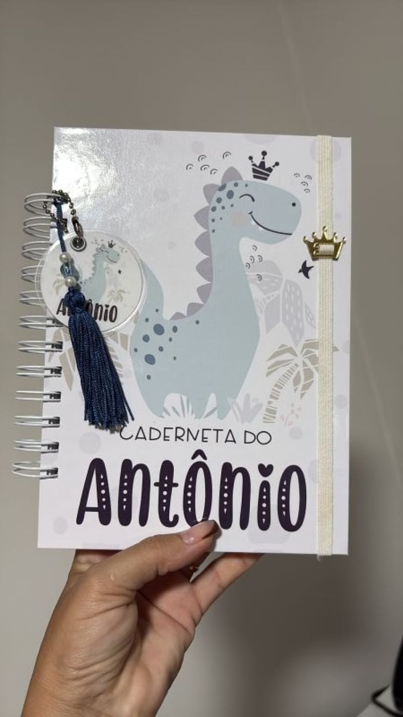 Caderneta de Vacinação Luxo - Dinossauro 